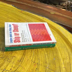 COMBO ENGLISH GRAMMAR IN USE & LUYỆN PHÁT ÂM TIẾNG ANH SHIP OR SHEEP? 130 đề mục Ngữ pháp 737750