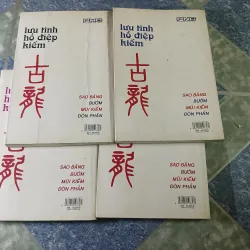 Lưu tinh hồ điệp kiếm ( 4 tập) - Cổ Long 776908