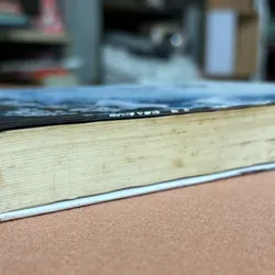 Hồ ly biết yêu  673949