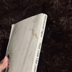 Trực cảm tâm linh 714518