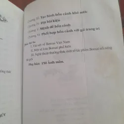 BONSAI Cây dáng, thế và Non bộ 751882