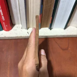 II Sách Phật Giáo: Đời Mạt Pháp - Thanh Sĩ - 1964 706793