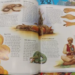 Tủ Sách Tri Thức Bách Khoa Bằng Hình - Thế Giới Động Vật | mới 100% bìa 350 1052778