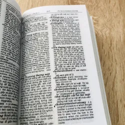 TỪ ĐIỂN Y HỌC ANH - VIỆT  1004665