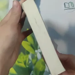 [MIỄN PHÍ BỌC SÁCH] Doanh Nhân Việt Nam Trong Lịch Sử - Trần Thuận 1018920