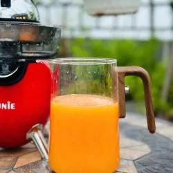 🍊 UNIE UECJ-666R – Máy vắt cam điện tự động 100W, vắt siêu nhanh – không tốn sức! 711520