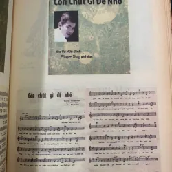 VANG VỌNG MỘT THỜI - PHẠM DUY 1006638