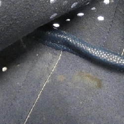 Túi Chanel 93260 617189