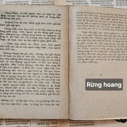 Tiểu thuyết RỪNG HOANG - Ferreira De Castro 719349