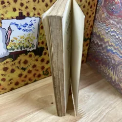 Truyền Kỳ Mạn Lục - Nguyễn Dữ 974719