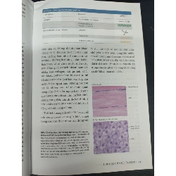 Sinh học phân tử của tế bào tập 5 - sự sinh trưởng và phát triển của tế bào mới 90% ố nhẹ, có bookcare HCM1406 Lodish SÁCH KHOA HỌC ĐỜI SỐNG 915412