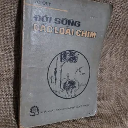 ĐỜI SỐNG CÁC LOÀI CHIM - VŨ QUÝ