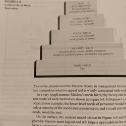 Hành vi tổ chức - Organizational behavior (Amazon bán và ship về 2000K bán 319K) 525764