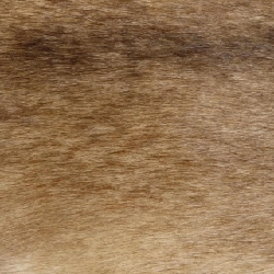 Khăn quàng LOEWE - Hàng hiệu Authentic 835717