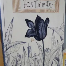 hoa tuylip đen