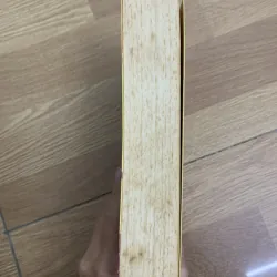 Tuỳ tiện phóng hoả - Mặc Bảo Phi Bảo 466624