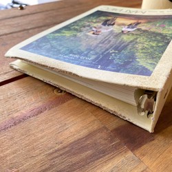 Photobook Mắt Biếc Nguyễn Nhật Ánh  159212