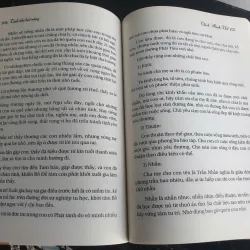 Tình Như Hạt Nắng 694084