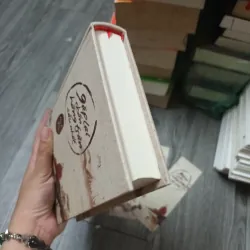 Gặp Lại Chốn Hồng Trần Sâu Nhất - Bạch Lạc Mai 973478