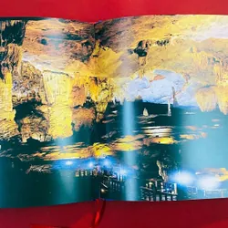 Việt Nam Quê Hương Tôi 591002