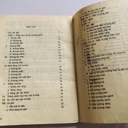 TRẬT ĐẢ CỐT KHOA 523863