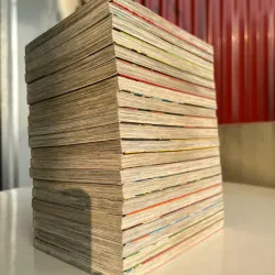 CHÀNG QUẢN GIA CỦA BÉ MEI 957362