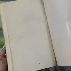 Hồi Dương Nhơn Quả 1018902