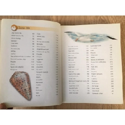 OCEAN bìa cứng mới 90% OSB2810 912483