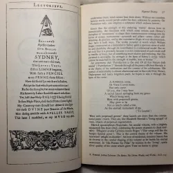 Seeing Through Words: The Scope of Late Renaissance Poetry 783237