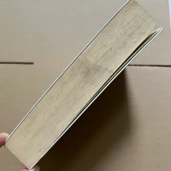 Những con chim ẩn mình chờ chết 960834