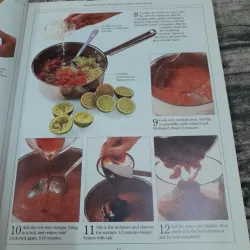 Perfect MEAT DISHES. Nghệ thuật nấu món thịt. Anne Willan 785295