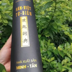 Hán Việt từ điển của Đào Duy Anh  999720