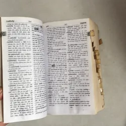 Từ điển Anh - Việt 693150