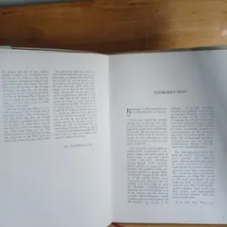 Bản Rập Họa Tiết Mỹ Thuật Cổ Việt Nam (Rubbings Of Vietnamese Ancient Fine Arts Patterns) 561429