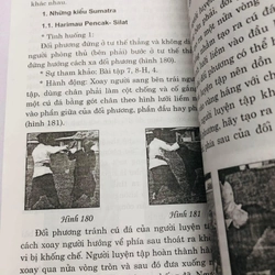 NGHỆ THUẬT ĐỐI KHÁNG  - 150 trang, nxb: 2009 542128