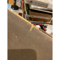 Dutch Painting in Soviet Museums