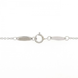 Dây chuyền Tiffany By The Yard - Hàng hiệu Authentic 841352