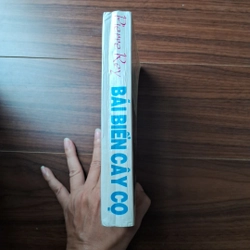 Bãi biển cây cọ 505905
