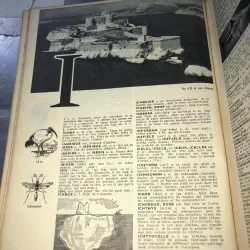 Petit larousse  799910