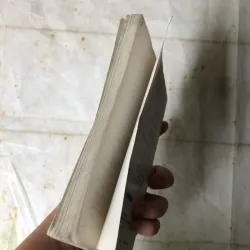 Rượu Hồng Đào Chưa Nhắm Đã Say - Hoàng Phủ Ngọc Tường 785296