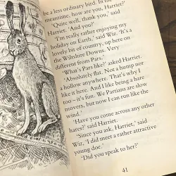 Harriet's Hare 972857