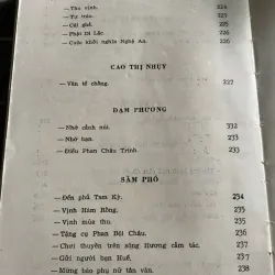 HỢP TUYỂN VĂN HỌC VIỆT NAM 1920-1945 556962