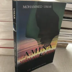 Amina - viên ngọc đen