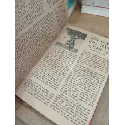 Kỹ thuật nuôi cá trê phi 706078