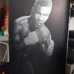 SỰ THẬT TRẦN TRỤI MIKE TYSON 322760