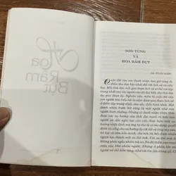 Hoa Râm Bụt - Sơn Tùng (8) 591396