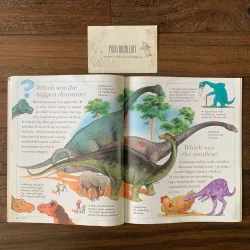 Sách ngoại văn I Wonder Why: Triceratops Had Horns, Used, Bìa mềm 756489