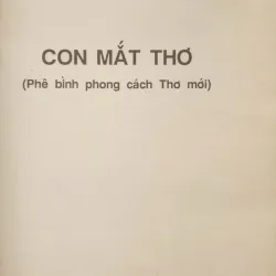 Con mắt thơ (Đỗ Lai Thúy) 1023961