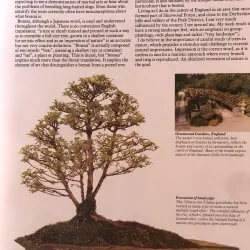 The complete book of Bonsai - Harry Tomlinson 1002398
