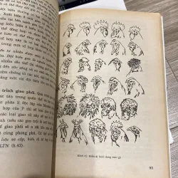 SINH HỌC 12 (XB 2000) 994072